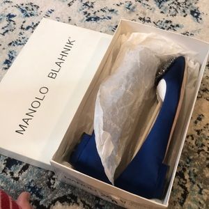 Manolo Blahnik Blue Hangisi Flat 37.5
